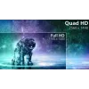 Philips Evnia 5000 32M2C5500W/00 Computer Monitor 80 cm (31,5 Zoll) 2560 x 1440 Pixel Quad HD LCD Schwarz