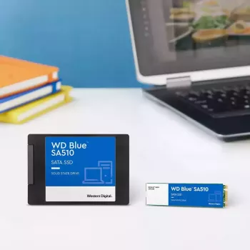 WESTERN DIGITAL SSD - WD Blue SA510 - 250GB - SATA 6Gb/s - M.2 2280