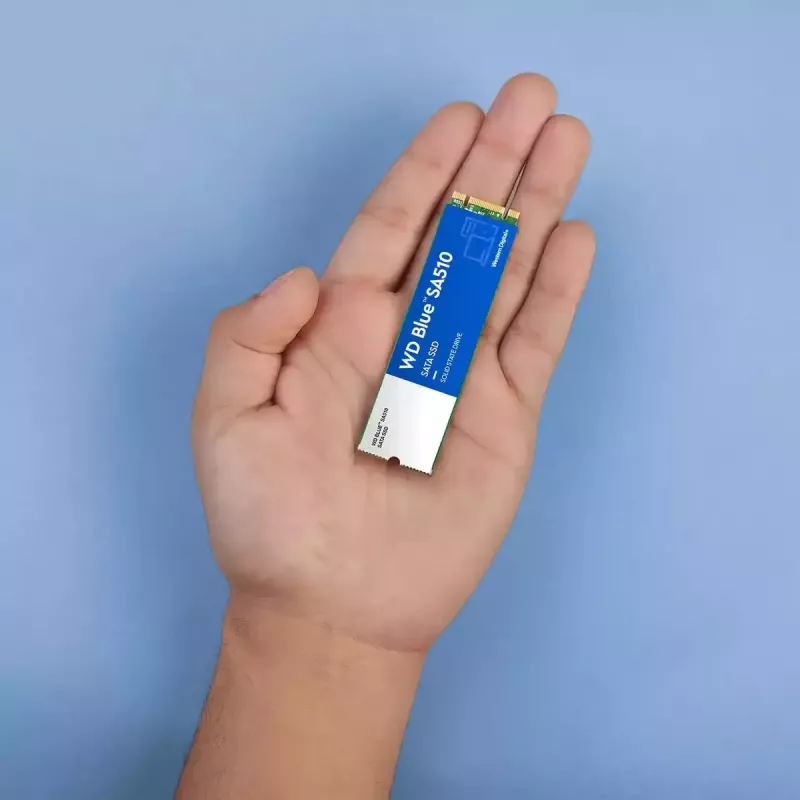 WESTERN DIGITAL SSD - WD Blue SA510 - 250GB - SATA 6Gb/s - M.2 2280