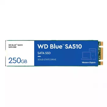 WESTERN DIGITAL SSD - WD Blue SA510 - 250GB - SATA 6Gb/s - M.2 2280