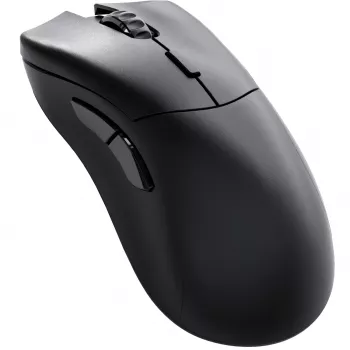 Glorious Gaming Glorious Model D 2 PRO Wireless - 1K Polling - Schwarz