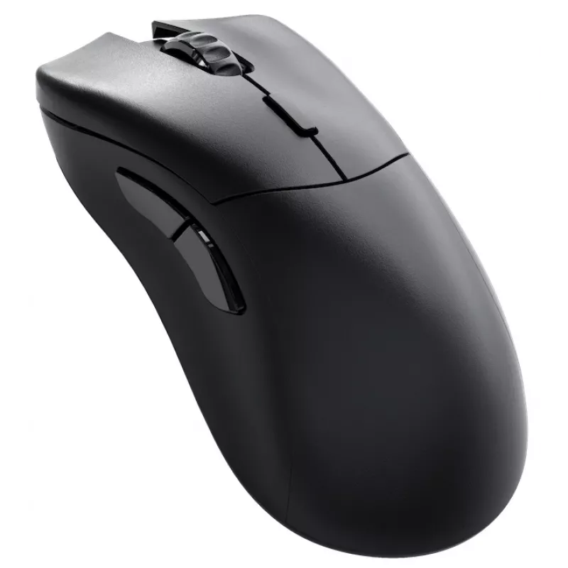 Glorious Gaming Glorious Model D 2 PRO Wireless - 1K Polling - Schwarz