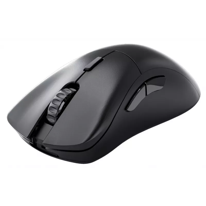 Glorious Gaming Glorious Model D 2 PRO Wireless - 1K Polling - Schwarz
