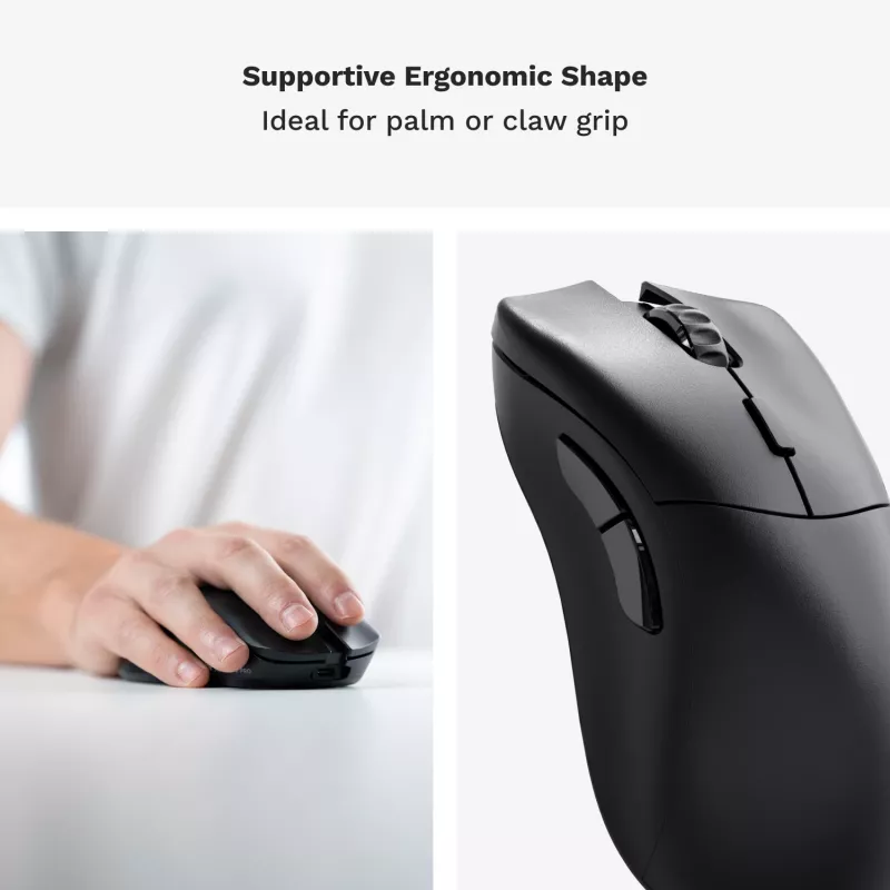 Glorious Gaming Glorious Model D 2 PRO Wireless - 1K Polling - Schwarz