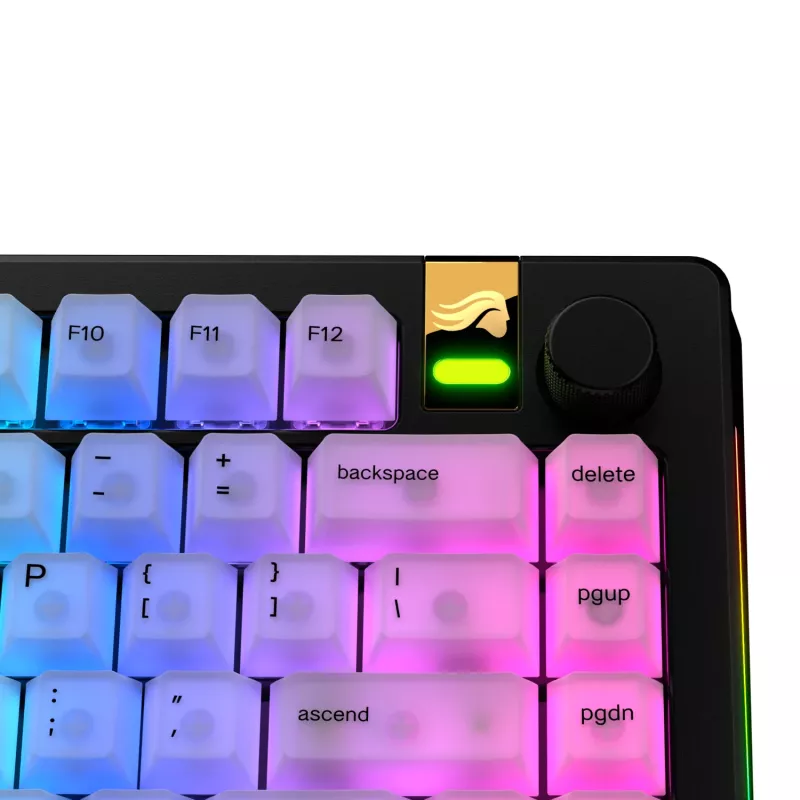 Keycaps GLORIOUS Polychroma V2 RGB US-Layout — Ersatzset für mechanische Tastaturen