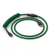 Glorious Gaming Glorious GMMK Spiral-Kabel Forest Rain, Grün, 1,4 m, 1 Stk., Glorious Gaming, USB Typ-A, USB Typ-C, Aviator