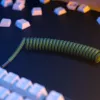 Glorious Gaming Glorious GMMK Spiral-Kabel Forest Rain, Grün, 1,4 m, 1 Stk., Glorious Gaming, USB Typ-A, USB Typ-C, Aviator