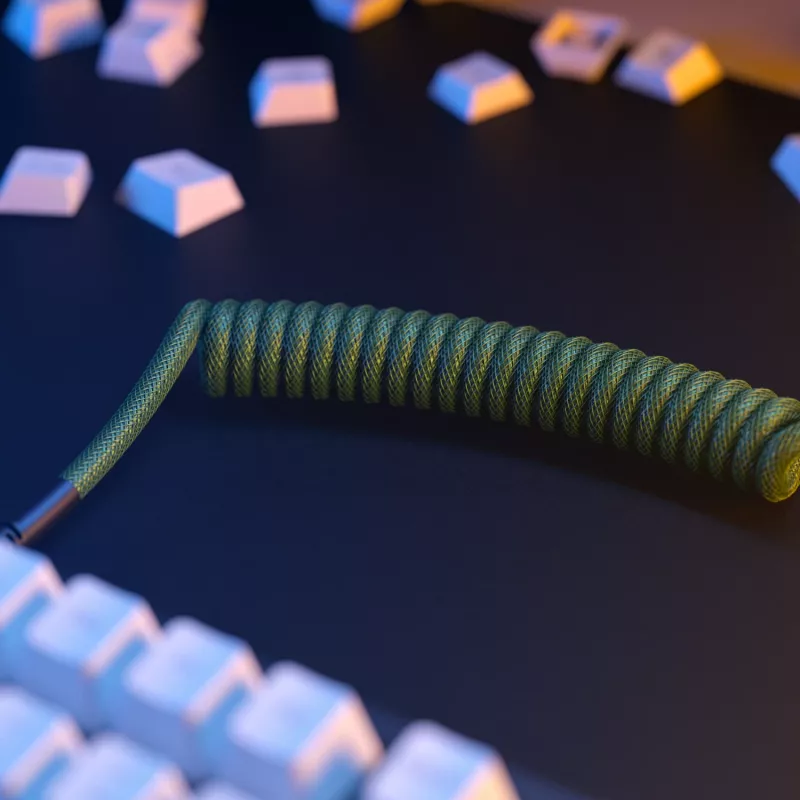 Glorious Gaming Glorious GMMK Spiral-Kabel Forest Rain, Grün, 1,4 m, 1 Stk., Glorious Gaming, USB Typ-A, USB Typ-C, Aviator