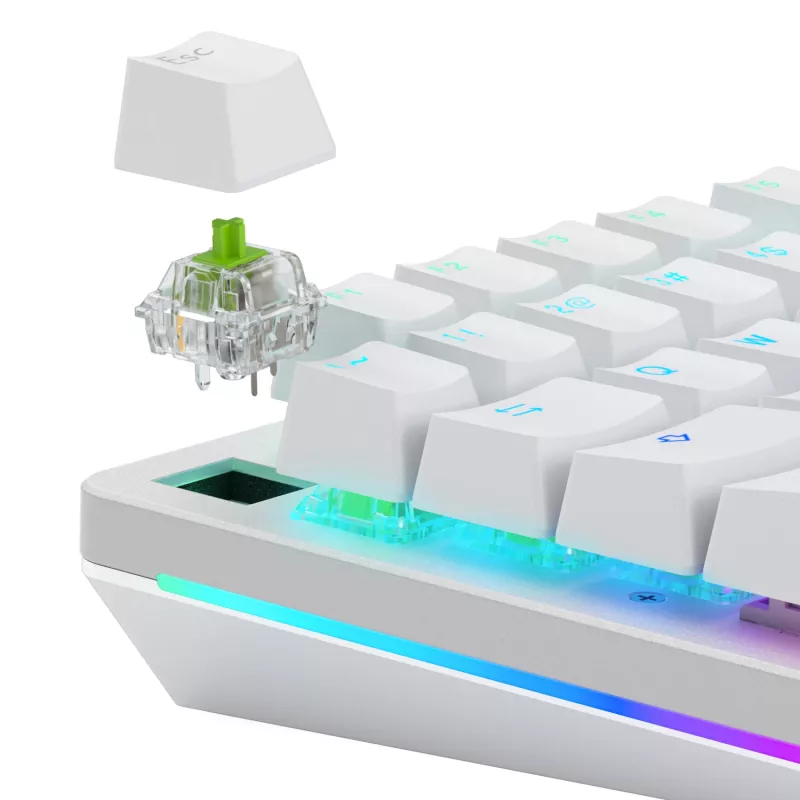 Glorious Gaming Glorious Raptor Clicky Mechanische Switches – 36 Stück