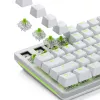 Glorious Gaming Glorious Raptor Clicky Mechanische Switches – 36 Stück
