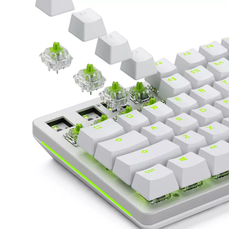 Glorious Gaming Glorious Raptor Clicky Mechanische Switches – 36 Stück