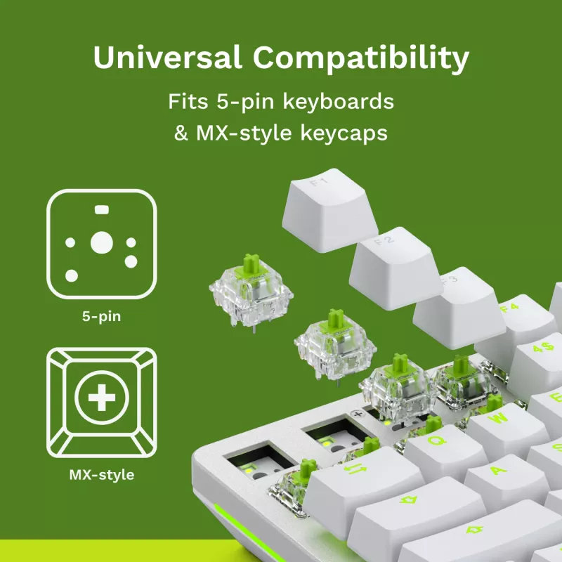 Glorious Gaming Glorious Raptor Clicky Mechanische Switches – 36 Stück