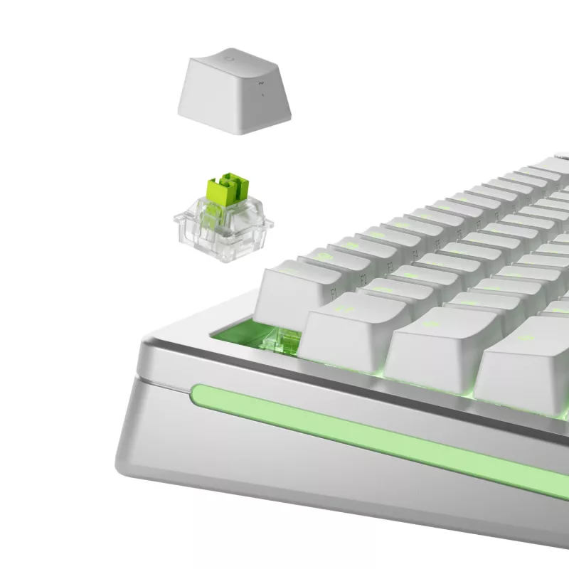 GLORIOUS Raptor HE Tastaturschalter – 36 Stück, Polycarbonat, hellgrün transluzent, für GMMK 3 HE