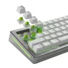 GLORIOUS Raptor HE Tastaturschalter – 36 Stück, Polycarbonat, hellgrün transluzent, für GMMK 3 HE