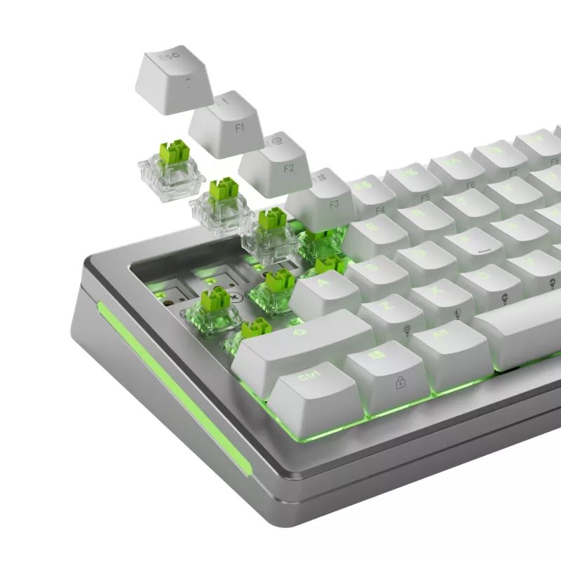 GLORIOUS Raptor HE Tastaturschalter – 36 Stück, Polycarbonat, hellgrün transluzent, für GMMK 3 HE