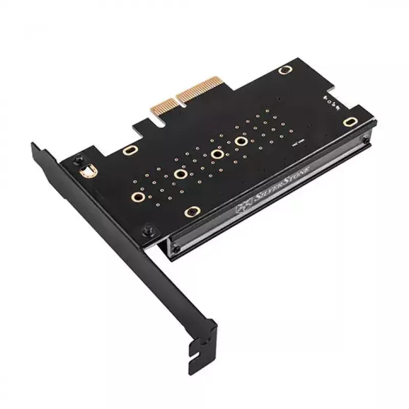 Interner M.2-Adapter Silverstone SST-ECM24-ARGB
