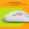 Glorious Gaming Glorious Model D 2 Wired - Mattweiß, Rechtshänder, Optisch, USB Typ-A, 26000 DPI, Weiß