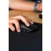 Glorious Gaming Glorious Model O 2 PRO Wireless - 4K/8K Polling – Schwarz