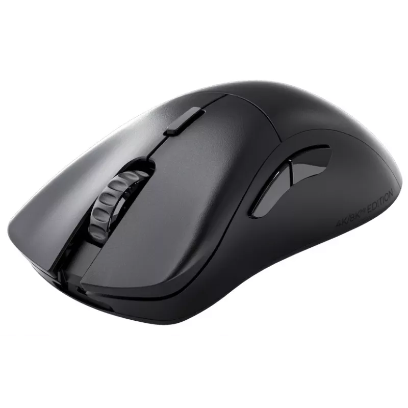 Glorious Gaming Glorious Model D 2 PRO Wireless - 4K/8K Polling - Schwarz