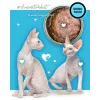3Coty Nassfutter mit Ente für ausgewachsene Katzen, 80 g