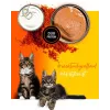 Nassfutter für Katzen 3coty Huhn mit Krill für Kätzchen, 80 g, Alleinfuttermittel, zuckerfrei, gluten- und sojafrei