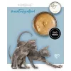Nassfutter für Katzen 3coty Truthahn mit Huhn für Kätzchen 80 g – Ergänzungsfuttermittel, 19 % Protein, 68,1 % Feuchtigkeit