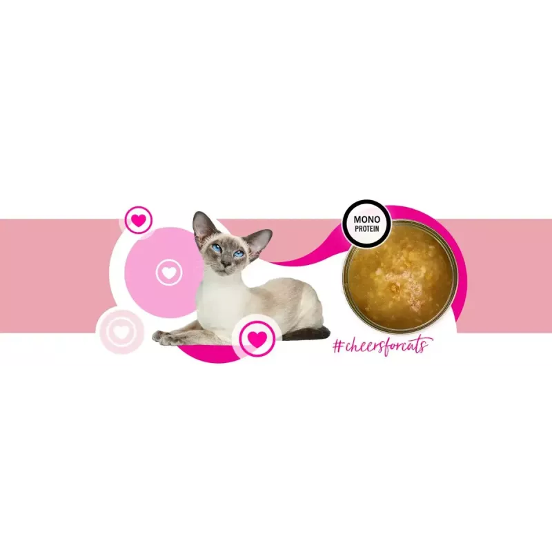 Nassfutter für Katzen 3coty Turkey Cheers 75 g — ausgewachsene Katzen, ergänzende Einzelportionspackung, 80 % Feuchtigkeit, 6 % Protein