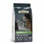 Trockenes Katzenfutter DIVINUS Cat Complete 20 kg — Erhaltungsnahrung für ausgewachsene Katzen, Huhn, 30 % Protein, 12 % Fett