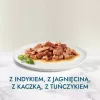 Nassfutter für Katzen Purina Nestlé GOURMET Perle Mini Filets in Sauce, Beutel 60 x 85 g, ausgewachsene Katzen, 80% Feuchtigkeit