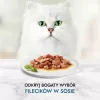 Nassfutter für Katzen Purina Nestlé GOURMET Perle Mini Filets in Sauce, Beutel 60 x 85 g, ausgewachsene Katzen, 80% Feuchtigkeit