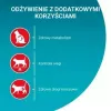 Purina One Sterilcat Trockenfutter für Katzen mit Rind, 9,75 kg