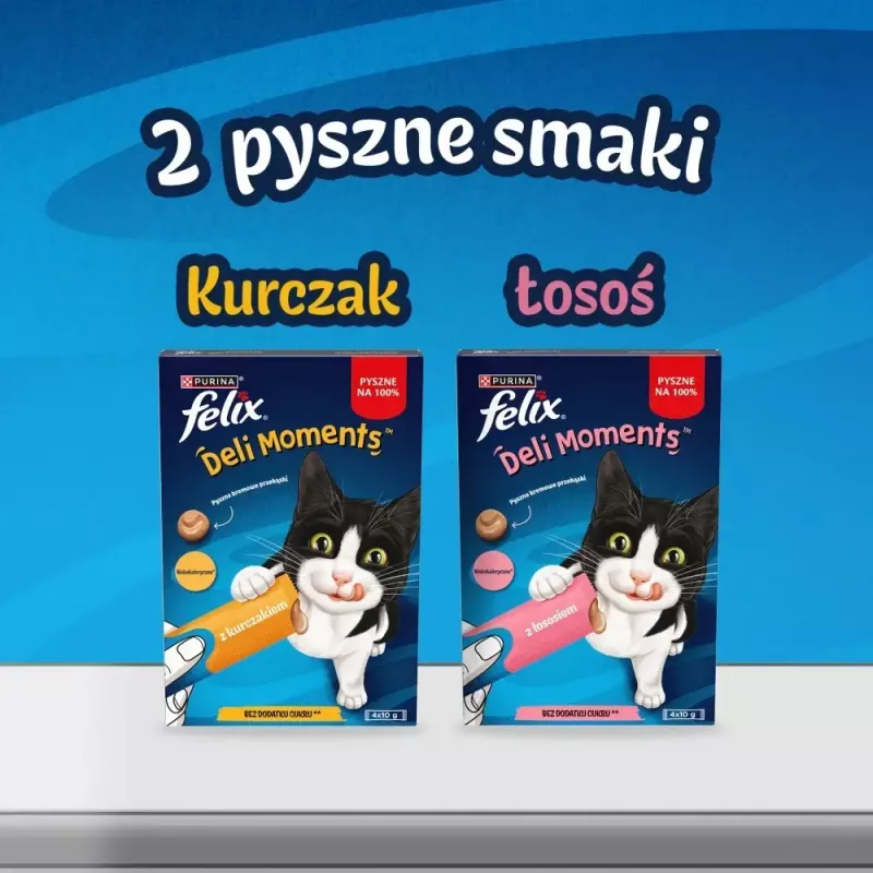 Nassfutter Katzensnack Purina Felix Deli Moments Lachs-Paste 4 x 10 g Tube