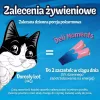 Nassfutter Katzensnack Purina Felix Deli Moments Lachs-Paste 4 x 10 g Tube