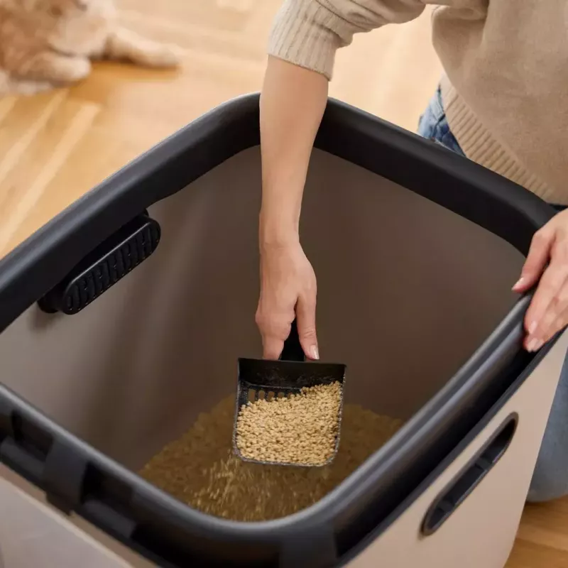 Katzentoilette Rotho Biala XL Cappuccino — Katzentoilette aus Kunststoff mit Kohlefilter, Aufhängeloch, 499×614×576 mm, 2,5 kg