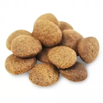 Trockenfutter für Hunde FISH4DOGS Superior Senior Medium Salmon — 12 kg, getreidefrei, für mittelgroße ältere Hunde