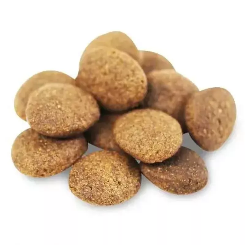 Trockenfutter für Hunde FISH4DOGS Superior Senior Medium Salmon — 12 kg, getreidefrei, für mittelgroße ältere Hunde