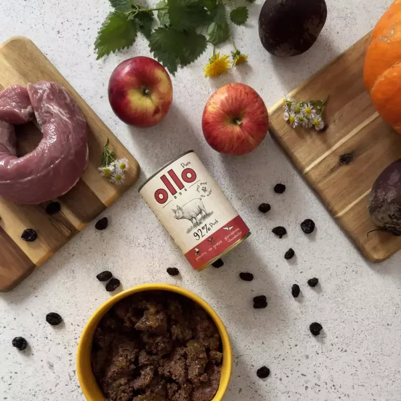 Nassfutter für Hunde OLLO Pure Pork 850 g — Alleinfuttermittel, Monoprotein, 17 % Protein, 11,5 % Fett, 63 % Feuchtigkeit