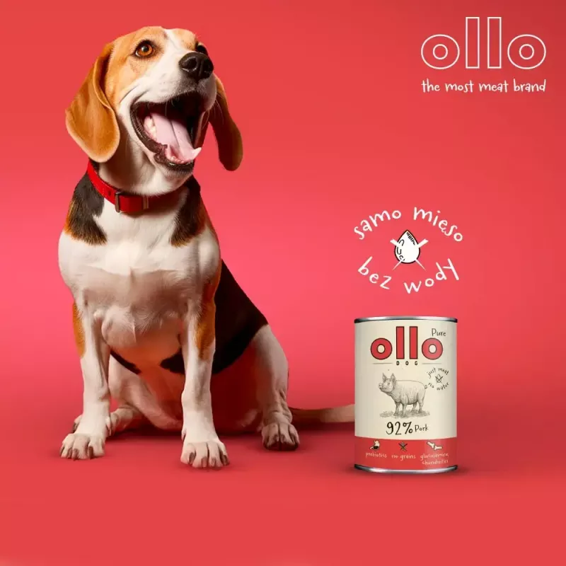 Nassfutter für Hunde OLLO Pure Pork 850 g — Alleinfuttermittel, Monoprotein, 17 % Protein, 11,5 % Fett, 63 % Feuchtigkeit