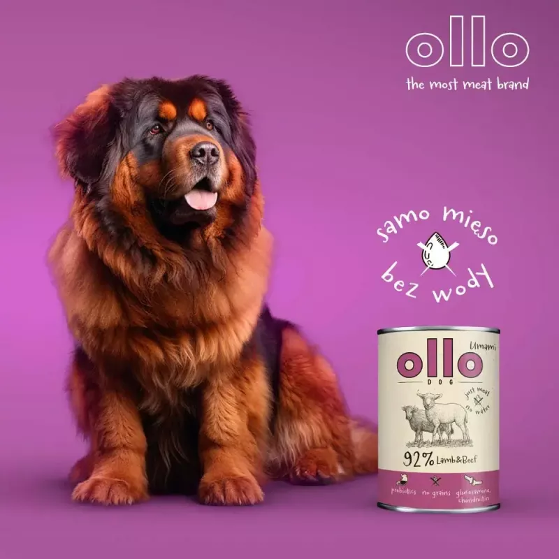 Nassfutter für Hunde OLLO Umami Lamm und Rind 850 g — ausgewachsen, getreidefrei, gluten- und sojafrei