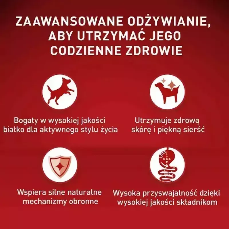 Nassfutter für Hunde Purina Nestlé One Mini/Small Active Beef 85 g — Nassfutter für ausgewachsene kleine Rassen, 76,4 % Feuchtigkeit, 12,5 % Protein