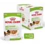 Nassfutter für Hunde Royal Canin X-Small Puppy Meat 85 g Beutel, 12 x 85 g, für X-Small/Small-Rassen
