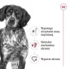 Trockenfutter für Hunde Royal Canin Medium Adult – Huhn & Schwein, 4 kg; Protein 25 %, Fett 14 %