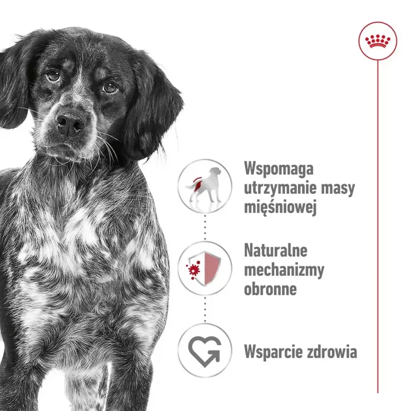 Trockenfutter für Hunde Royal Canin Medium Adult – Huhn & Schwein, 4 kg; Protein 25 %, Fett 14 %