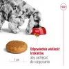 Trockenfutter für Hunde Royal Canin Medium Adult – Huhn & Schwein, 4 kg; Protein 25 %, Fett 14 %