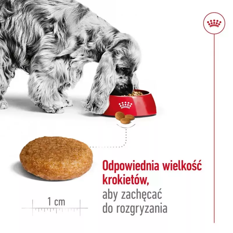 Trockenfutter für Hunde Royal Canin Medium Adult – Huhn & Schwein, 4 kg; Protein 25 %, Fett 14 %