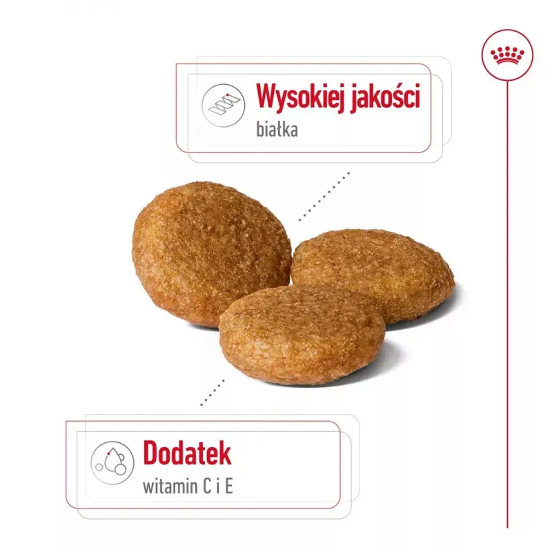 Trockenfutter für Hunde Royal Canin Medium Adult – Huhn & Schwein, 4 kg; Protein 25 %, Fett 14 %