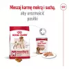 Trockenfutter für Hunde Royal Canin Medium Adult – Huhn & Schwein, 4 kg; Protein 25 %, Fett 14 %