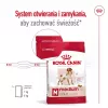 Trockenfutter für Hunde Royal Canin Medium Adult – Huhn & Schwein, 4 kg; Protein 25 %, Fett 14 %