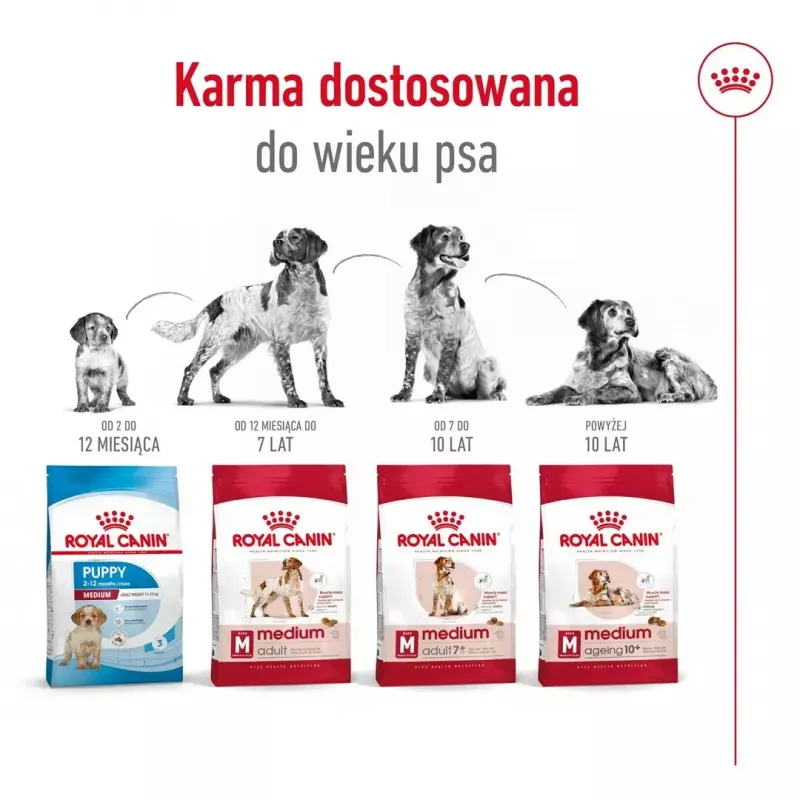 Trockenfutter für Hunde Royal Canin Medium Adult – Huhn & Schwein, 4 kg; Protein 25 %, Fett 14 %
