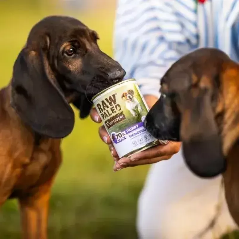 VETEXPERT RAW PALEO Adult Monoprotein Duck 400 g Nassfutter für Hunde, glutenfrei, sojafrei, bei Futtermittelallergien
